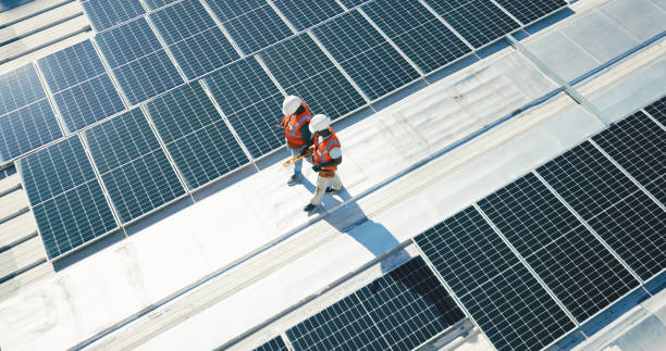 Best Roof Moss and Algae Removal  in West Union, OH